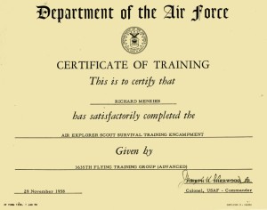 stead certificate copy