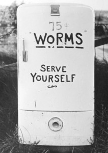 worms copy